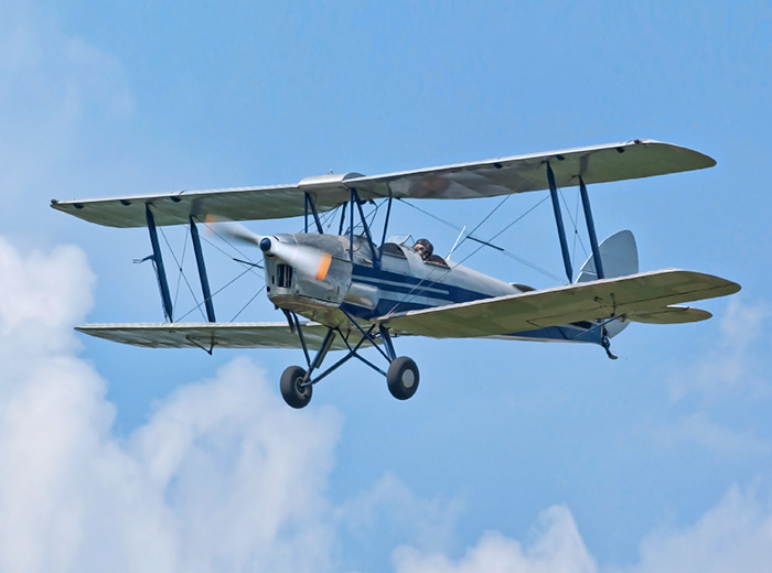 FLY IN A TIGER MOTH